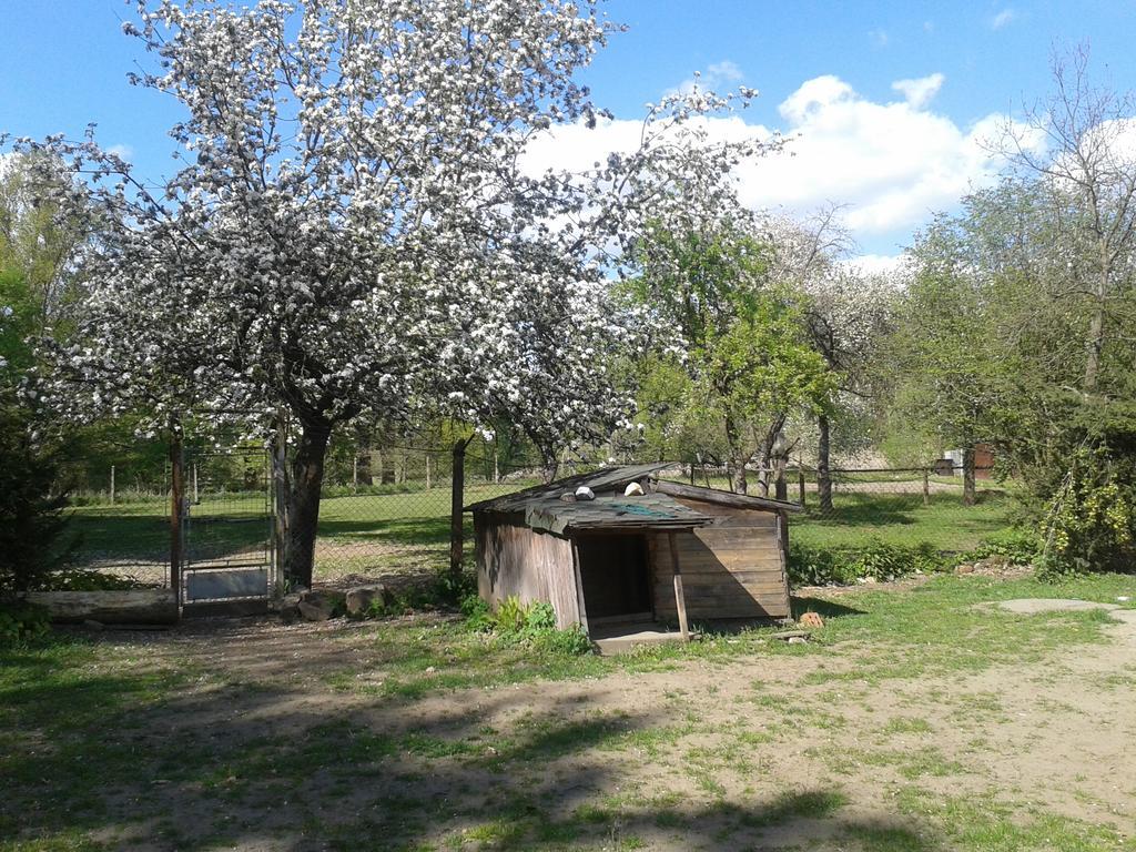 Chata Zahrada Madeta Veselí nad Lužnicí Εξωτερικό φωτογραφία