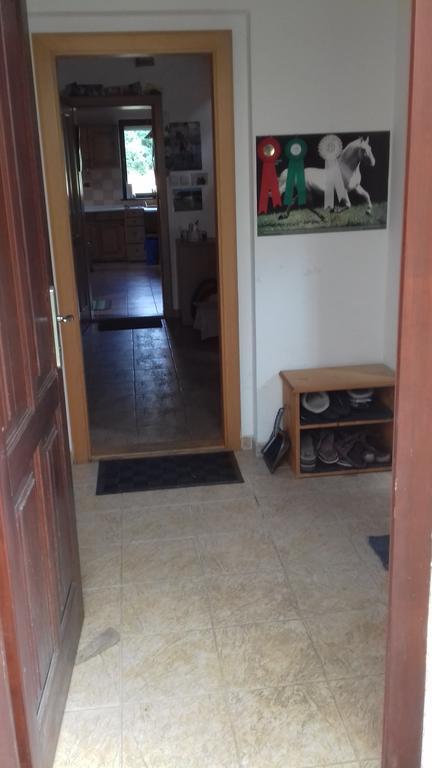 Chata Zahrada Madeta Veselí nad Lužnicí Εξωτερικό φωτογραφία