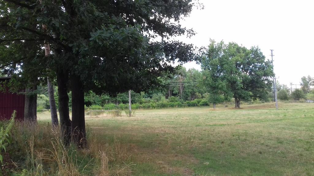Chata Zahrada Madeta Veselí nad Lužnicí Εξωτερικό φωτογραφία